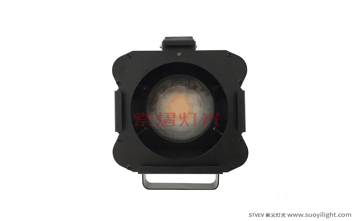 Paris200W LED Thread Image Light quotation