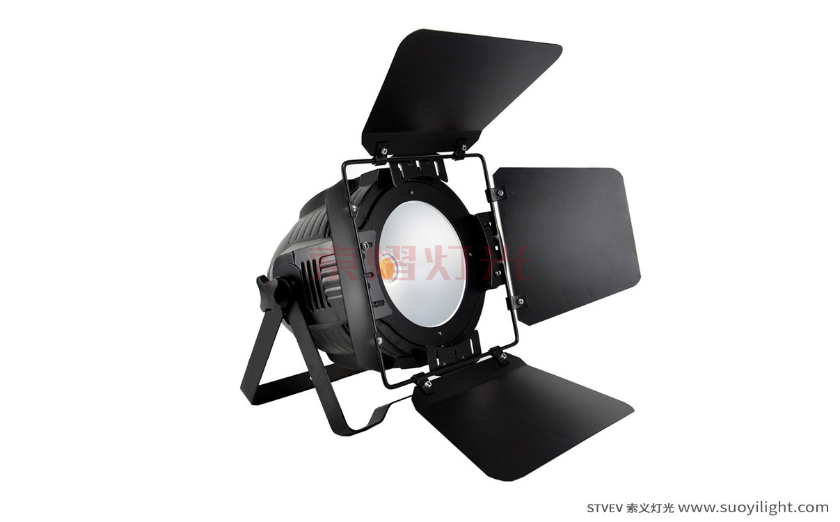 Paris200W COB LED Par Light