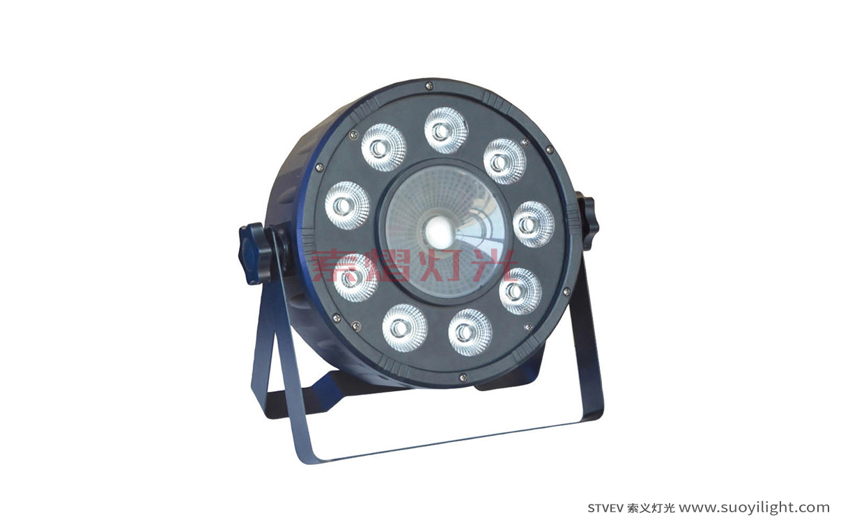 Paris9+1 LED Plastic Par Light