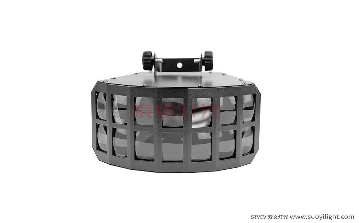 ParisLED Double Butterfly Light
