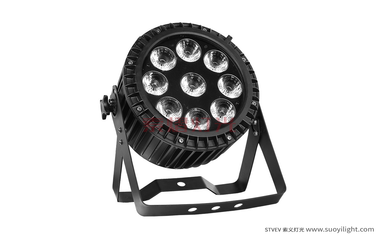 Paris9*12W 4 in 1 Waterproof LED Par Light