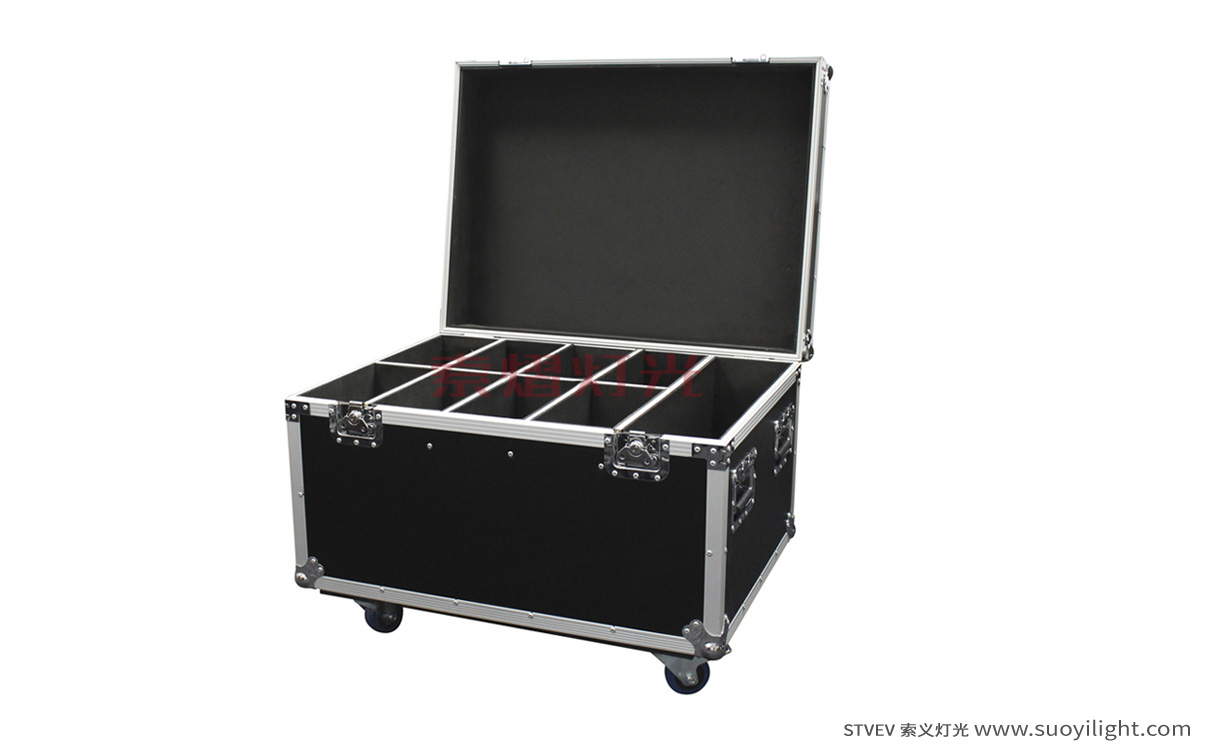 Paris8in1 Par Light Flight Case