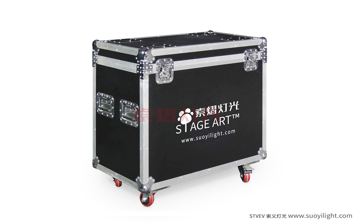 ParisBeam Light Flight Case