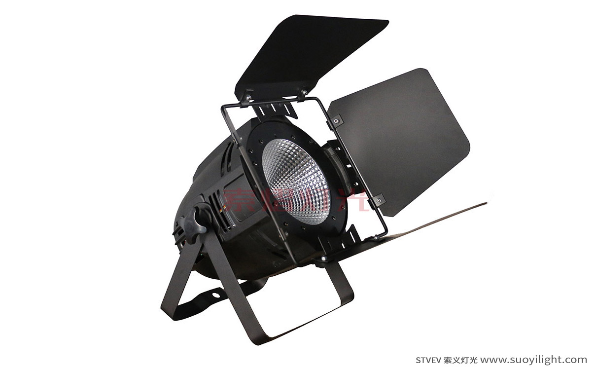 Paris100W LED COB Par Light