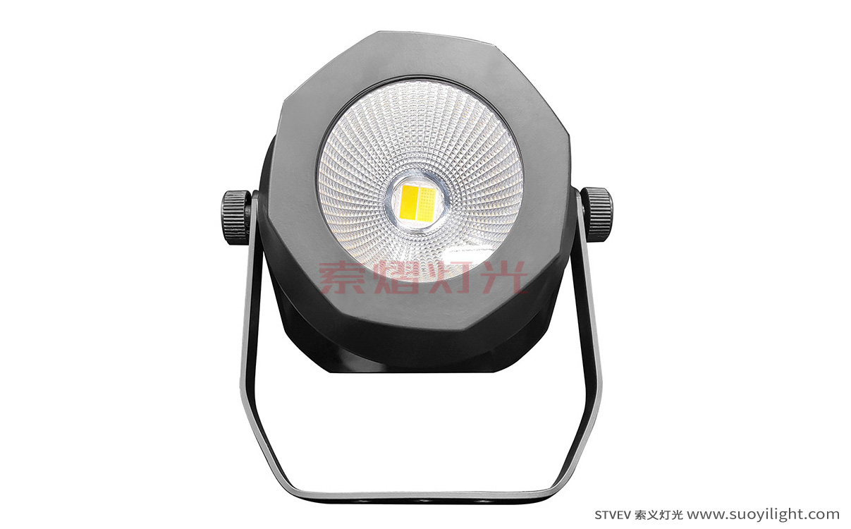 Paris200W Waterproof COB Par Light